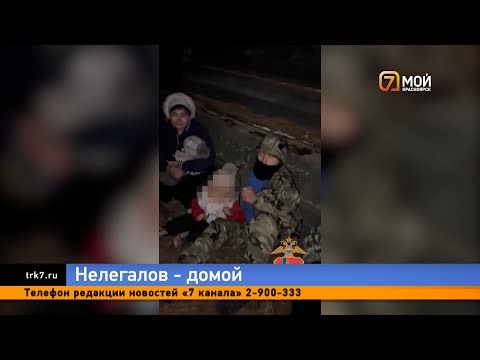 A night vision device helped security forces find illegal migrants in a forest in Krasnoyarsk Krai.