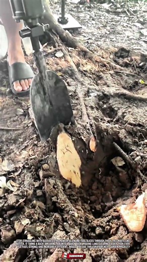 Powerful Engine Tool for Fast Tree Root Cutting