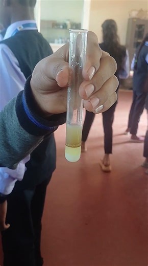 Brownn ring test #chemistry #practicals #exampreparation