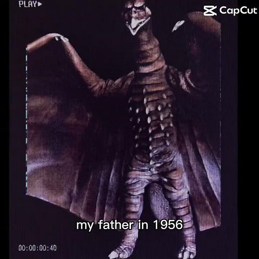 Rodan 1956 #shortvideo #godzilla
