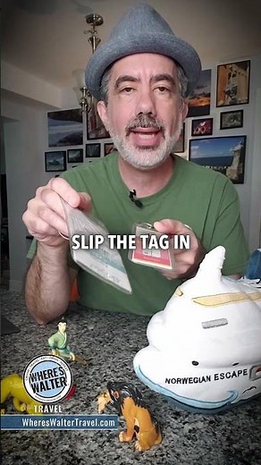 Cruise Luggage Tags, Keep Them Secured!