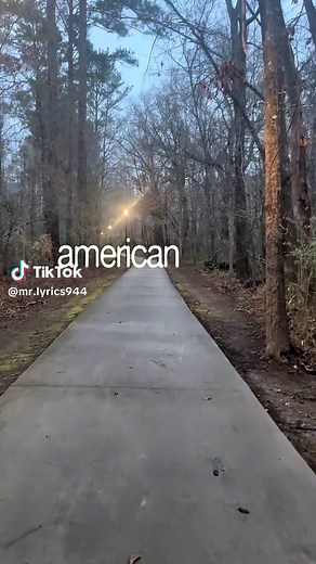 Frank Ocean's American Wedding Lyrics Video