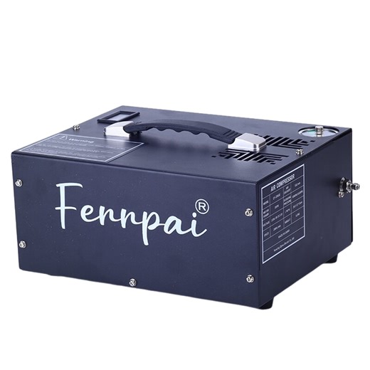 Pcp Compressor Pcp110v 220v 12 v 300bar 4500 psi 30 Mpa Diving Equipment Oilless PCP Air Compressor Pcp Pump