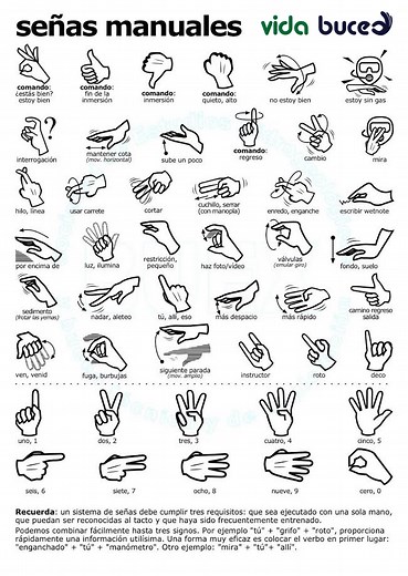 Señales de buceo con las manos | Vida Buceo