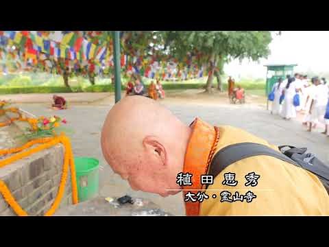 ２０１７インド聖地紀行 ー 仏陀生誕地ネパール・ルンビニ ー（HD版）