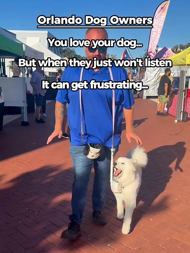 Most dog owners think training is about control. It’s not... It’s about connection! When your dog pulls, jumps, or ignores you—it’s not defiance. It’s confusion. They don’t understand how to listen yet. Once you show them in their language, everything changes. Walks get calmer. Guests feel welcome. And your dog starts looking to you—not away from you. I’m Steven from The Orlando Dog Trainer. Until November 17th, I’m offering a $75 First Lesson (normally $150) for new clients ready to create last
