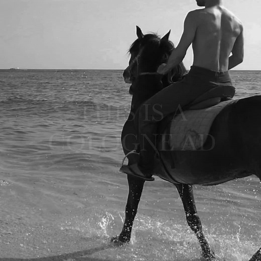 1.1K reactions · 41 shares | Try the New Old Spice Sea Spray Body Wash. Cologne Quality Scents Inspired by the Sea. | Old Spice | Facebook