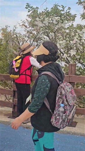 Sincho Alumni Trekking 4 Buan Byeonsan Masilgil