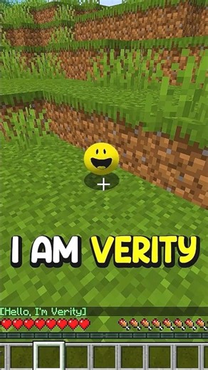 I Added The Real VERITY MOD into Minecraft!