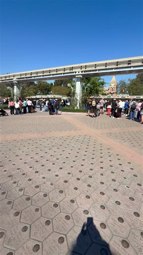 Forever waiting for a Magic Key only lines #magickeyholder #magickey #annualpassholder #disneypass