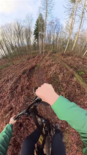 Some Downhill Stuff 🔥🔥 | Follow for more - #mtb #downhillmtb #freeride #bikepark #fy @Anneke🐈🎱 @jannes. ✞ @Mitter_MTB @onlyy.henne_558