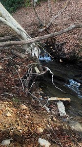 Daniel Owens on Reels