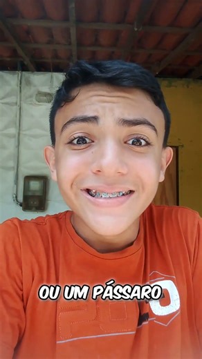 QUAL PET EU DEVO ADOTAR? COLOQUEM NO COMENTÁRIOS!😅