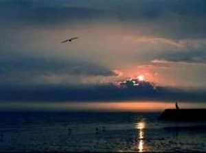 PELL MELL Frost of an alien darkness