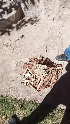 Vídeos de HUGUIN (@huguin57) con «sonido original - HUGUIN»