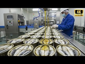 How Billions of Canned Sardines Are Processed - Amazing Automatic Sardine Production!