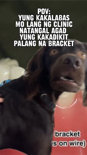 Doc John the Dentist on Reels