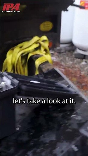 The Light Ranger MUTT by IPA