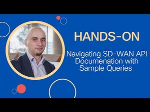 Hands on navigating SD WAN API documentation with sample queries