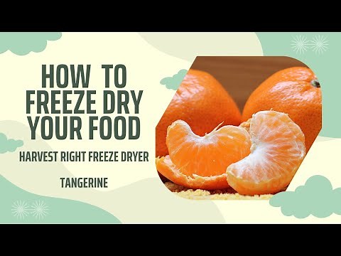 How to Freeze Dry Tangerine