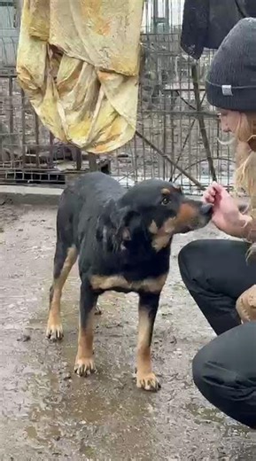 Die hübsche Dakota sucht ihren Heimathafen