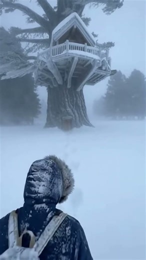 Extreme Blizzard: Found a Snow-Buried Treehouse & a Chubby Cat Inside!