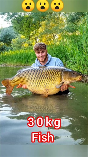 “This Might Be the Biggest Carp Ever Caught!”