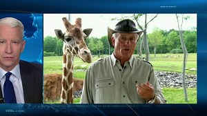 How poaching turned into billion dollar business