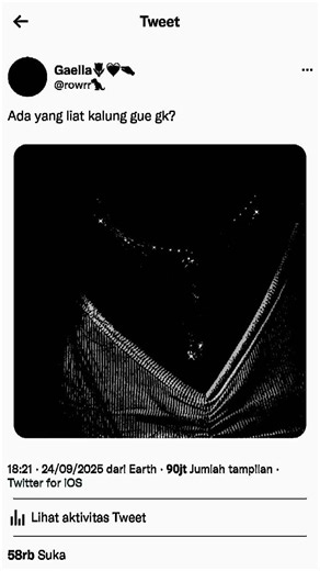 Understanding the Debut: A Guide for Beginners