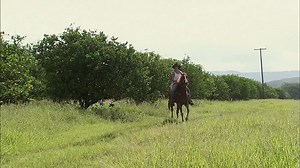 Corazón indomable - Capítulo 124