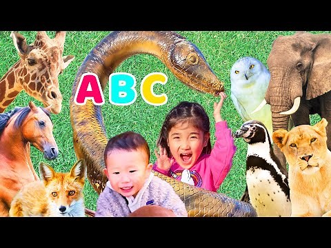みのちゃん＆赤ちゃんミッション！動物園でふれあい体験！