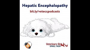 1.2K views · 17 reactions | Hepatic encephalopathy is a relatively...