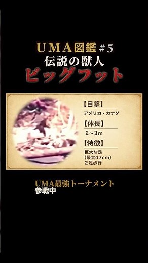 【UMA図鑑】No.5｜ビッグフット