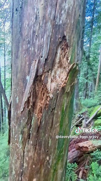 Lore Accurate Minecraft Gameplay