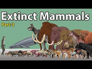 Massive Extinct Mammals Size Comparison 2024 | Extinct Mammals Size Comparison 2024 (part-2)