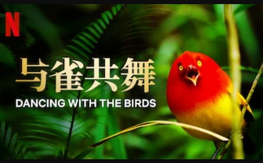 【Netflix】与鸟共舞 官方双语字幕 Dancing With The Birds (2019)