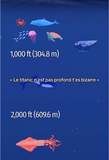 Les Mystères du Titanic au Fond de l'Océan
