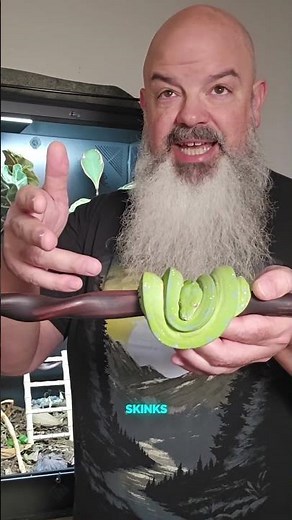 I got one of the first green tree python shed tests! thanks for sponsoring this week phenome.com