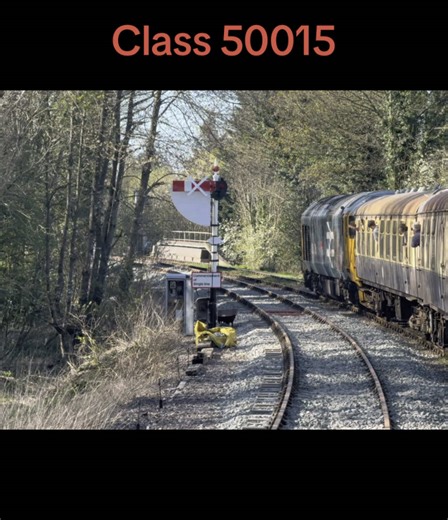 Class 50015