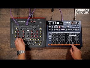 Analogue Solutions Impulse Command with Drumbrute Impact