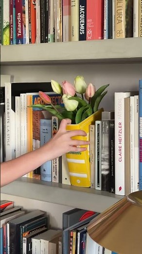 📚 Book: A Vase That Looks Like a Book