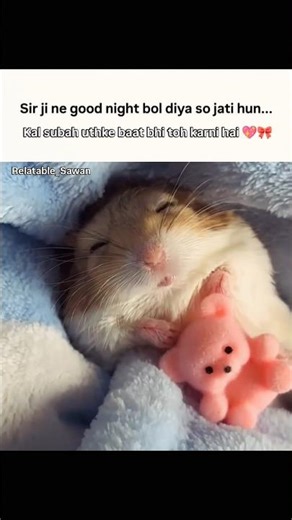 So jati hun 😌🎀 #trending #viral#shorts #love #memes