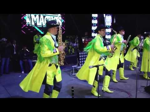 Banda Machos HD - San Antonio Sija