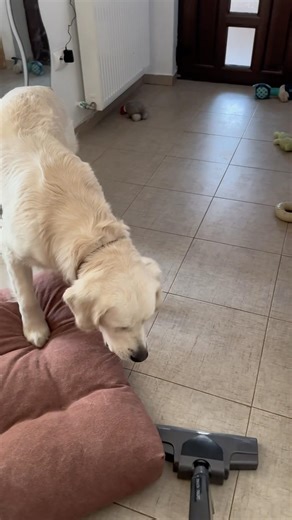 Conflict resolution 101.