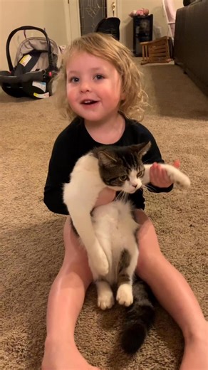 Throwback to Ella’s educational cat video | Laura Bates