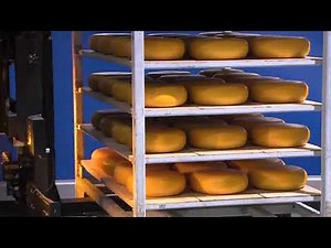 BA Systèmes AGV installation at FrieslandCampina