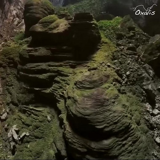 Mystical view inside the world's largest cave - Hang Son DoongThe World’s Biggest Cave, Son Doong, is one of the top must-see places in the world. An inspiring journey into this gigantic underground cave will bring you closer to the nature like never before and give you a true sense of real adventure. #sondoong #sondoongcave #adventuretravel #adventureworld