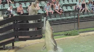 15K views · 686 reactions | Check out all the action packed adventures we had here at Australia Zoo today to celebrate Robert's 14th birthday! Woo-hoo! | Australia Zoo | Facebook