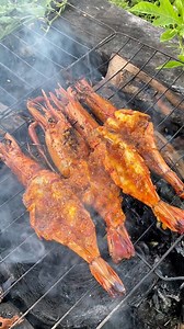 666K views · 10K reactions | Resep udang bakar bikin marah tetangga #udangbakar #resep #recipe #reseprumahan #udang | Muhammad Muhadir | Facebook