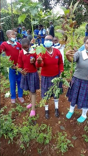 Types of Weeds lesson By Jonathan Musau